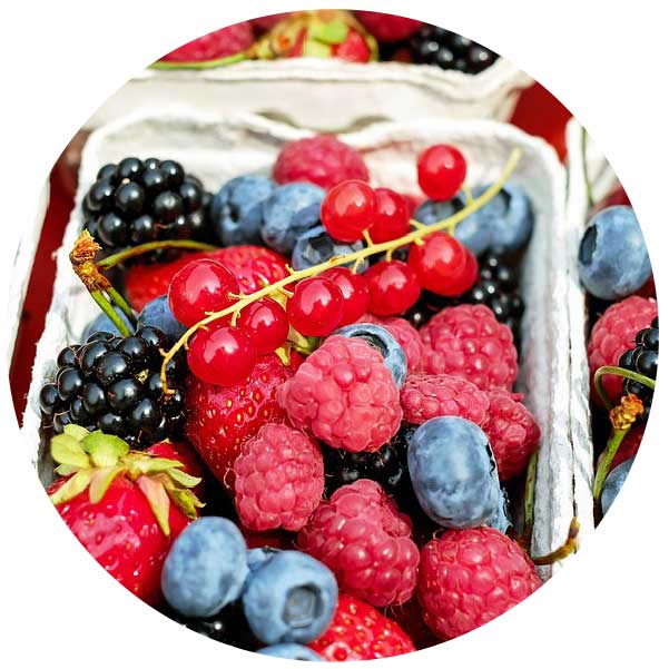 Frutta-surgelata-frutta-secca-frutta-candita-gelateria-caterline
