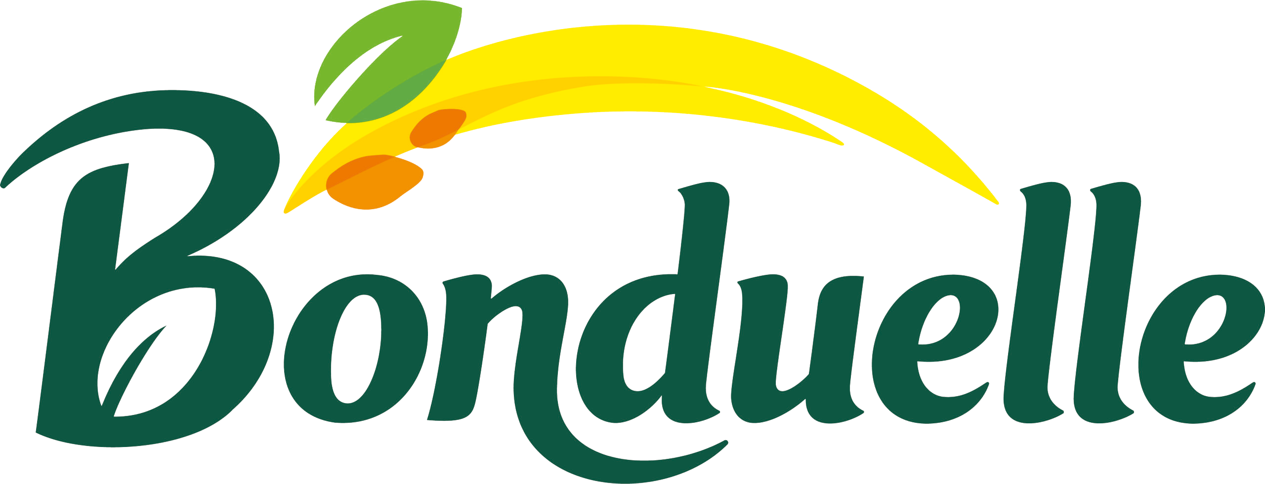 Nuovo-logo-Bonduelle-scaled